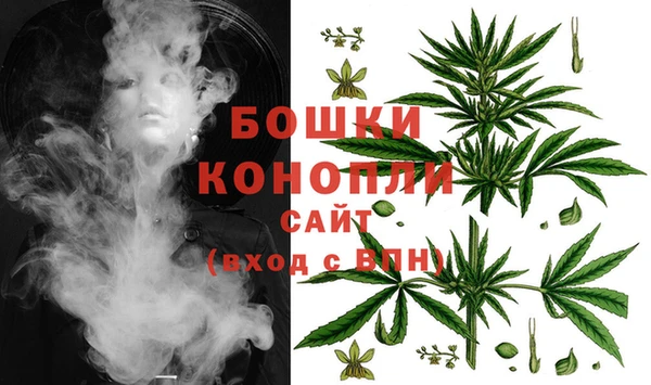 крисы Рославль