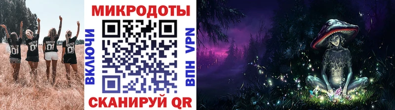 Псилоцибиновые грибы Psilocybe  Анадырь 